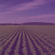 خلفية المشروع