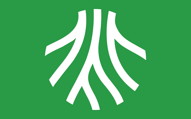 صورة المقالة